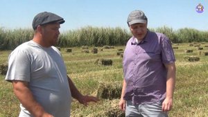 11-серия. Как правильно поливать и обрабатывать люцерну? (28-06-2018)
