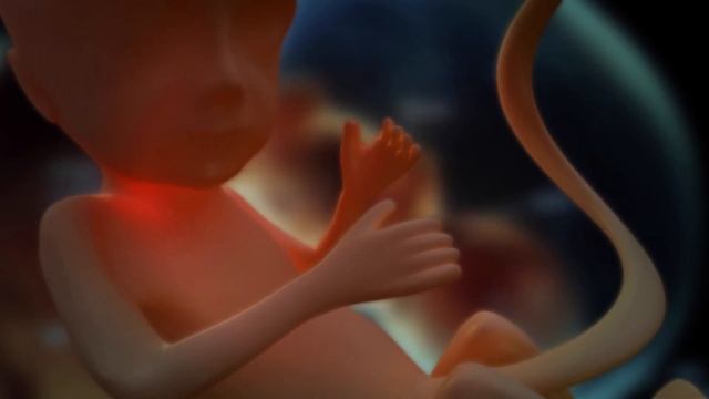 Почему Ребенок Пинается в Утробе ? Шевеления Плода.