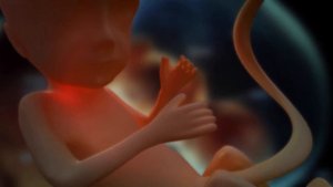 Почему Ребенок Пинается в Утробе ? Шевеления Плода.