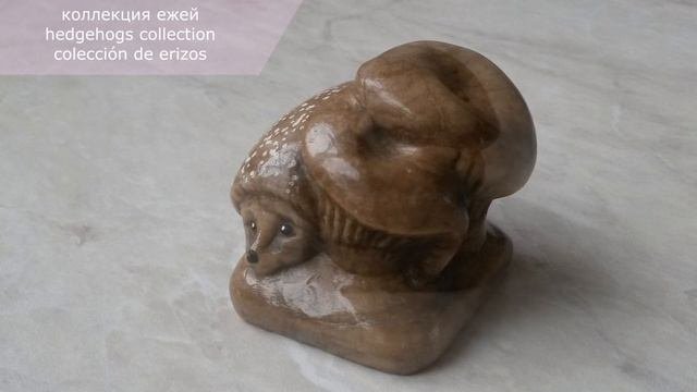 коллекция ежей | Hedgehogs Collection | Colección De Erizos