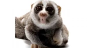 С днем рожденья, Люба!