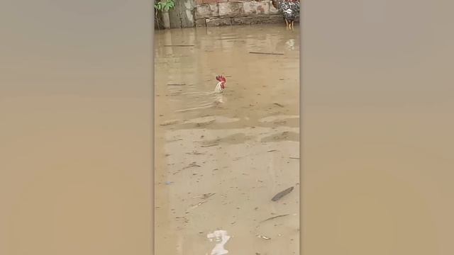 Incredible Moments Caught on Camera