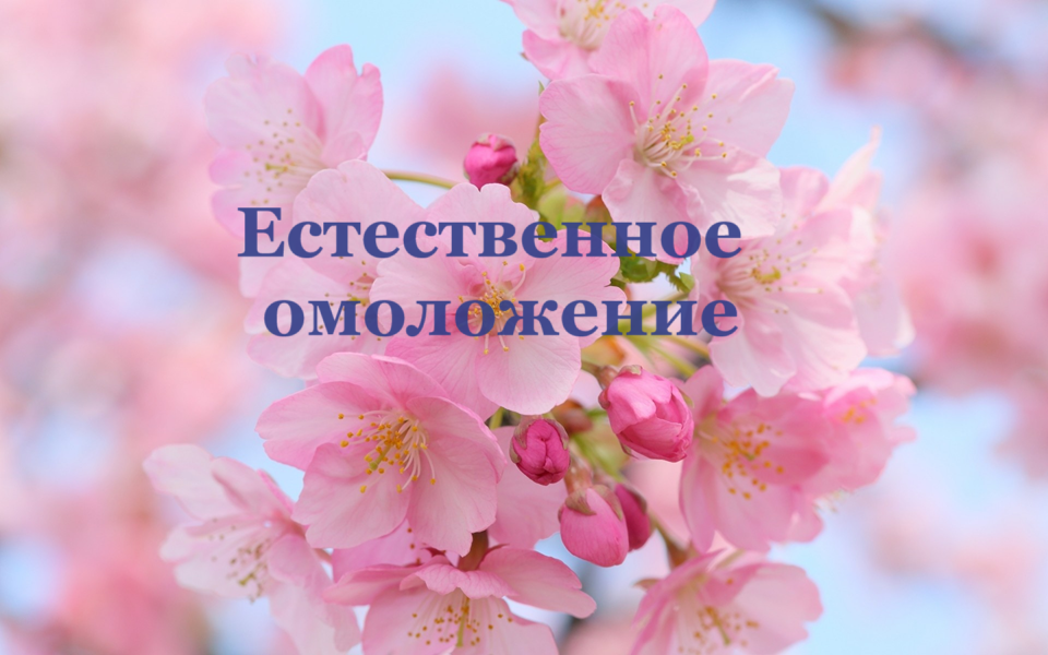 Естественное  омоложение