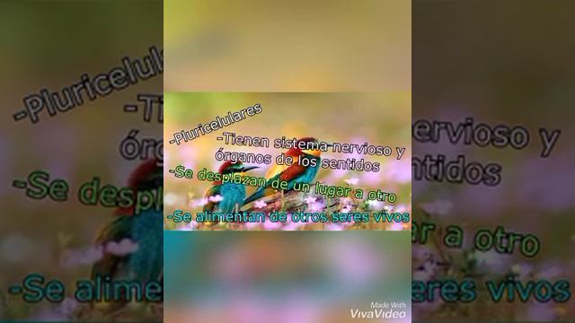 Reinos de la naturaleza 🍃 смотреть онлайн