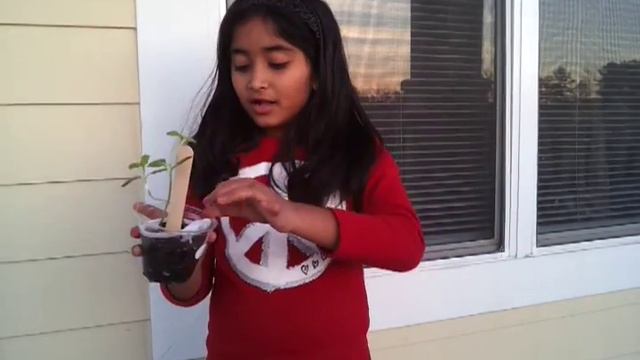 Sumi - Plant 4 смотреть онлайн