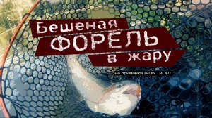 Ловим бешеную форель в жару на приманки IRON TROUT. Часть 1