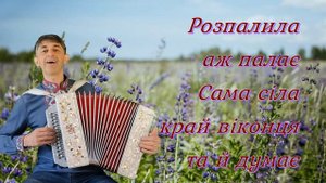 Ой капуста ти розсада