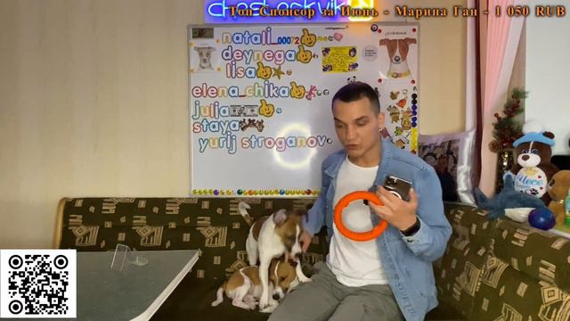 Человек Собаке Друг / 12.06.2023 смотреть онлайн