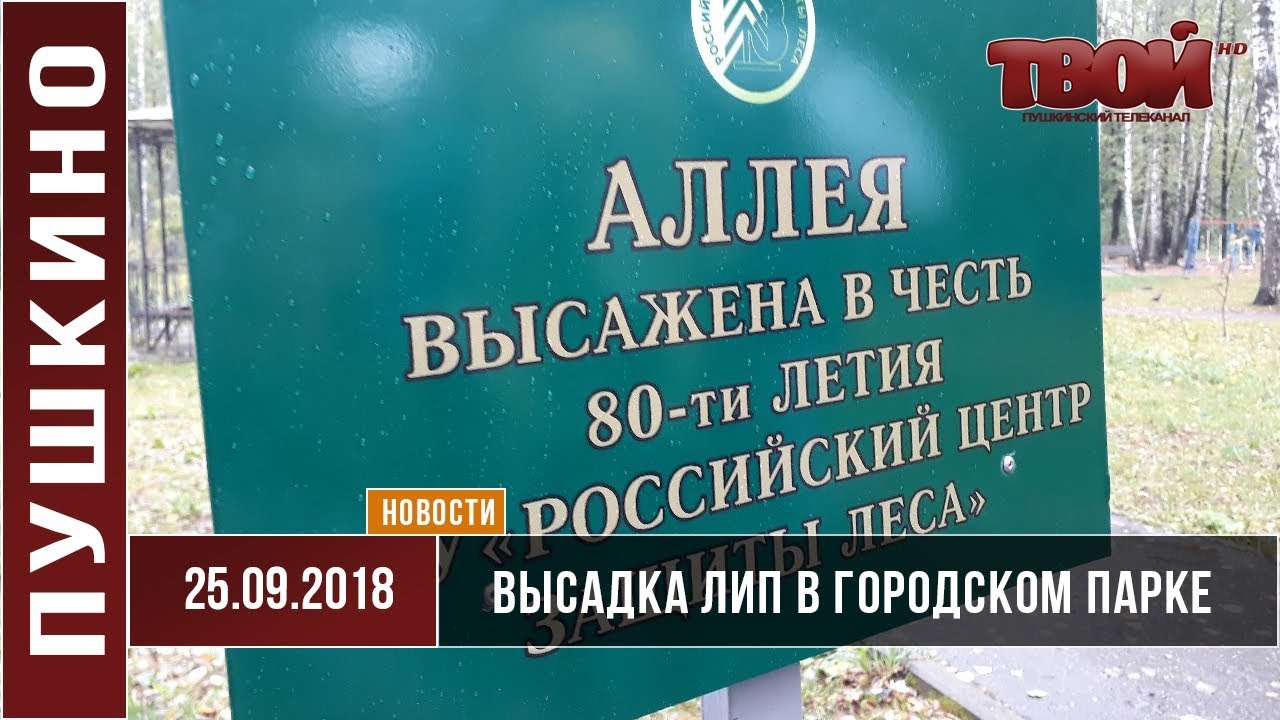 Высадка 80-ти лип в городском парке
