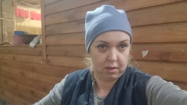 Переделка загона для свиней / Всё самое интересное происходит без меня смотреть онлайн