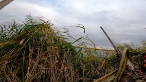 ОХОТА НА УТКУ  ИССЛЕДОВАНИЕ НОВЫХ МЕСТ НА БОЛОТОХОДЕ