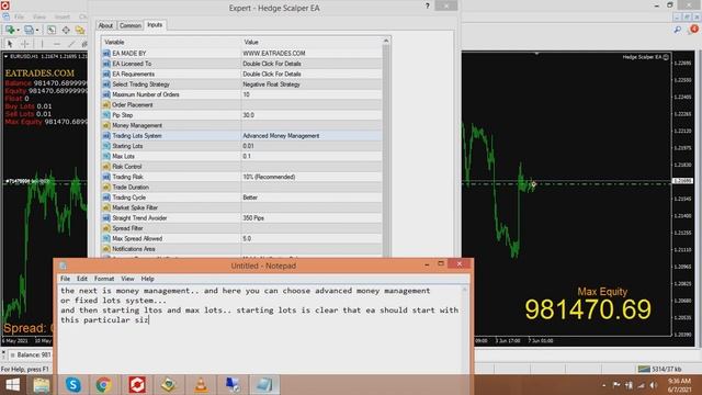 MT4 Forex Hedge Scalper EA (New Version Inputs Explanation by www.eatrades.com)