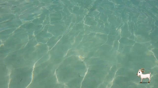 Тайланд - Экскурсия на остров Рача. Вараны и дикий пляж. смотреть онлайн