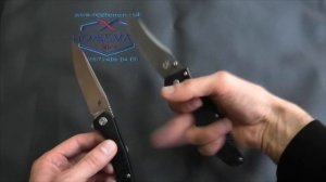 Приятный и резучий CH3020