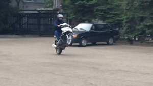 Стант на ирбис грейс 150 Stunt Irbis Grace 150