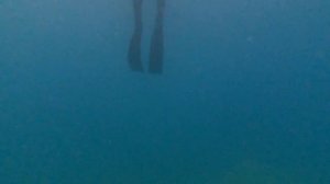 Бухта Малая Окуневая (Приморский край), окунь, красноперка