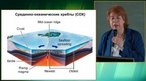 Океаны. Лекция Климановой по географии для геологов