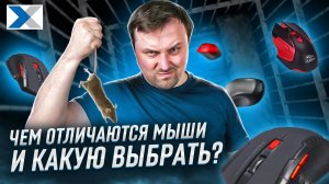 Чем различаются мышки и почему одни дороже других?