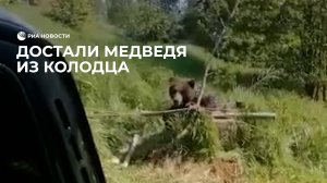 Вытащили медведя из колодца