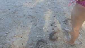 Магазин и обмен валюты рядом с отелем  Mai Khao Lak