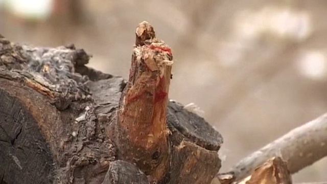 Ребёнок упал из окна 7 этажа смотреть онлайн