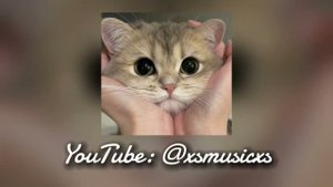 Музыка для флешмоба