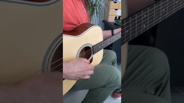 Cort L100C NS - Naturel Satin Akustik Gitar