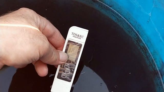 #дыня #раннийсортдыни ЭТОТ СОРТ ДЫНИ ГАРАНТИРУЕТ УРОЖАЙ! смотреть онлайн