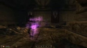 The Elder Scrolls IV: Oblivion. Часть #64. Ритуал коронации