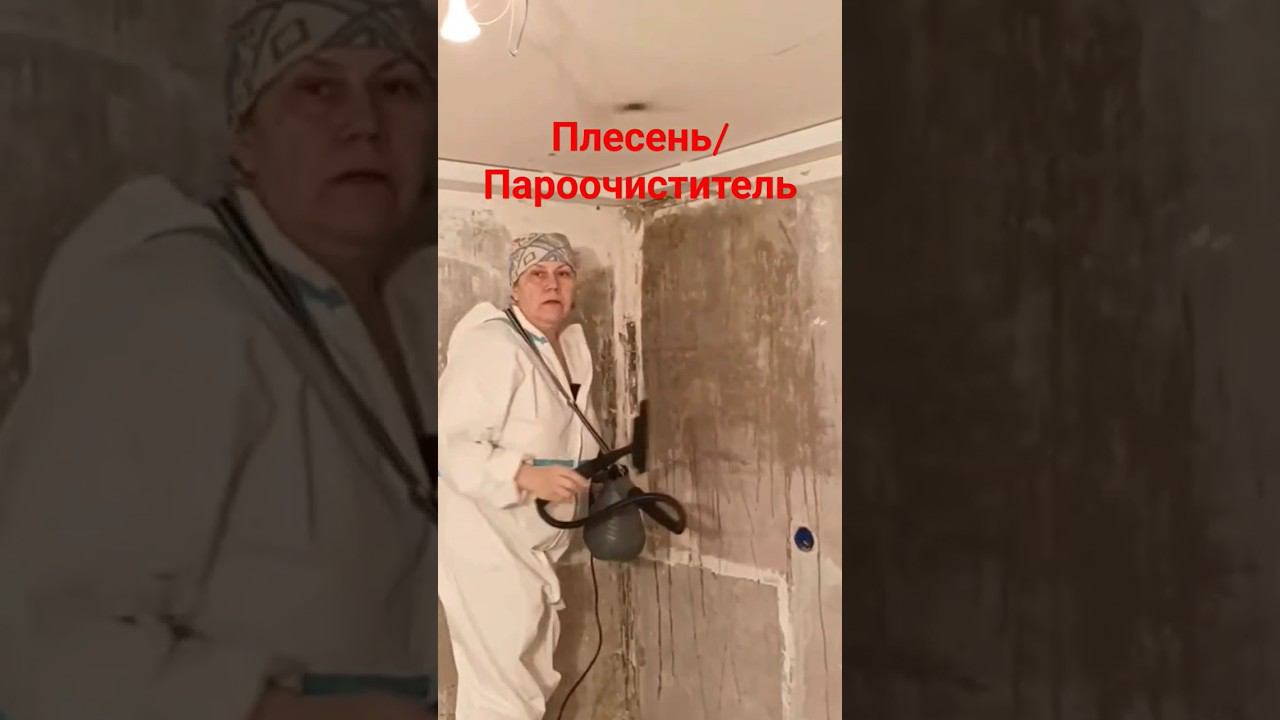 Протечки на стенах #плесень #протечка #пароочиститель