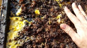 Как сделать солнечную воскотопку. Бесплатная воскотопка