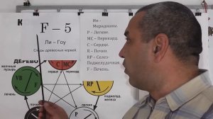 F-5 и Все ИНЬ меридианы и ИНЬ органы.