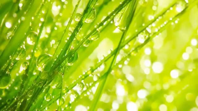 Ченнелинг 20.02.2014. Инесса. Проект "Жить в гармонии". Занятие 3 смотреть онлайн