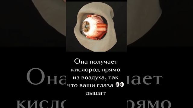 Христианское пожелание! смотреть онлайн