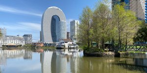 Батуми. Май 2022. Что же будет с пирсом? А что думаете вы? Солистка лягушачьего хора.