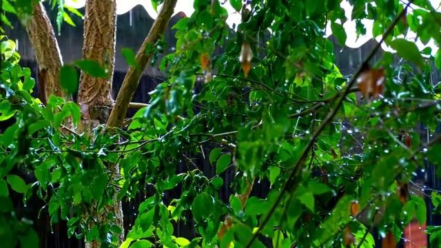 10 минут дождя Звуковое расслабление / Окончательное снятие стресса, глубокий сон, смотреть онлайн