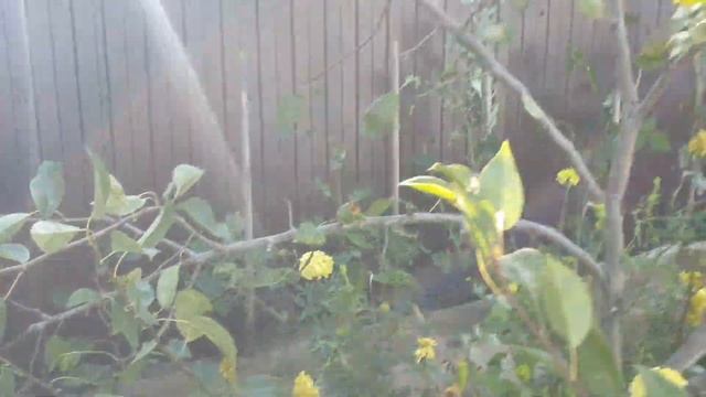 Наш дом спустя 3 года. Какие работы сделаны смотреть онлайн