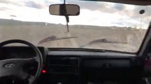 Автопилот. Нива БЕЗ водителя #offroadнаниве