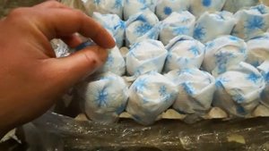 Посылка, распаковка инкубационного яйца орпингтон палевый.