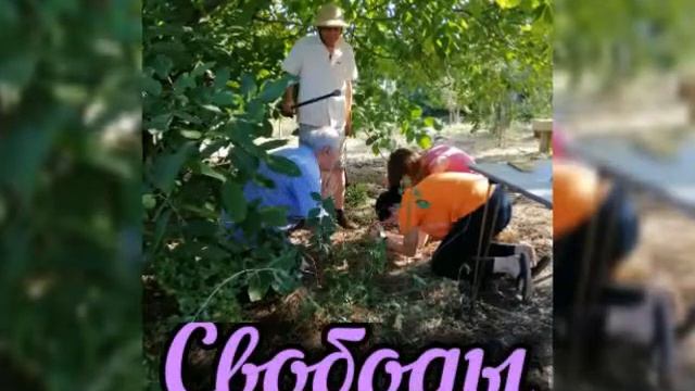 Мои пожелания вам на этот новый учебный год! смотреть онлайн