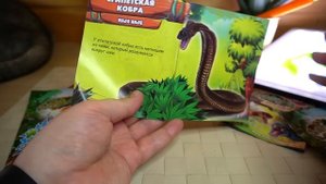 АНТИСТРЕСС ОПАСНЫЕ ЗМЕИ пакетики НЕ ДеАгостини а Ашет