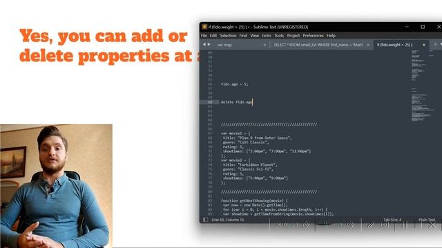 Java Script for begginers. What can we do with JavaScript objects