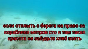 Египет Хургада Гранд Резорт Хургада море пляж риф 2022 Egypt Grand Palace BeachGrand ResortHurghad