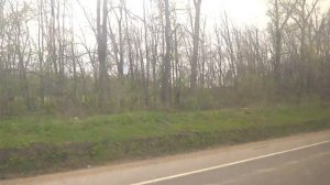 Голицыно, автобус 22, участок Институт - Шараповка