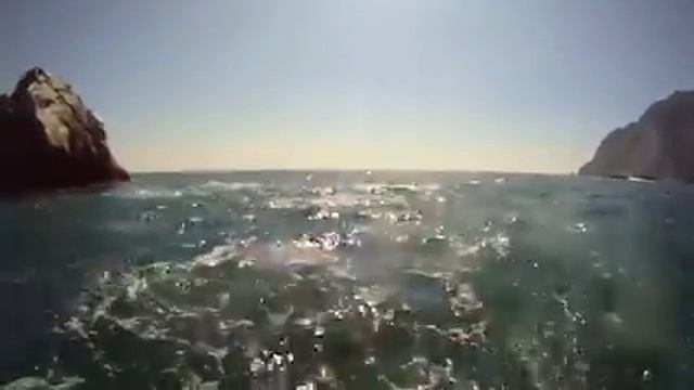 Камчатка морские прогулки Пеликен смотреть онлайн