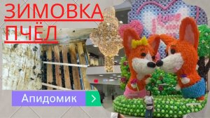 Зимовка пчёл. Апидомик. Месяц спустя. 06.12.21г