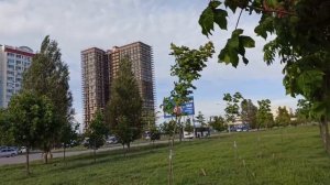 Цветут розовые и белые каштаны в Ростове/ Розовые каштаны в Левенцовке