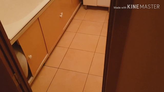 1 комнатная квартира у метро "Комендантский проспект". Комендантский проспект дом 17 смотреть онлайн