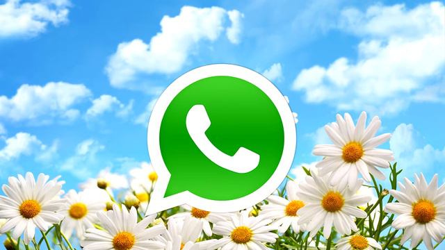 Отзыв смотреть онлайн