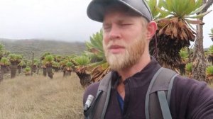 Kenya Vlog #6: Climbing Mount Elgon - Koitaboss Peak & Kitum Caves